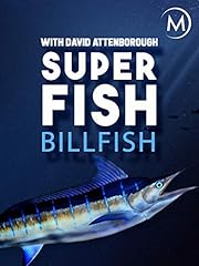 Superfish for sale  Delivered anywhere in USA 