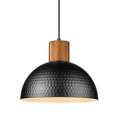 Elyona industrial pendant for sale  Delivered anywhere in USA 
