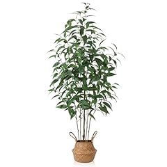 Ferrgoal artificial eucalyptus for sale  Delivered anywhere in USA 