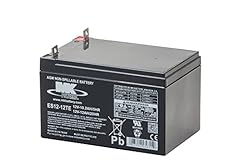 Battery es12 12te for sale  Delivered anywhere in USA 