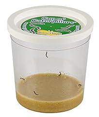 Refill cup caterpillars for sale  Delivered anywhere in UK