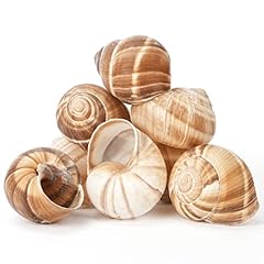 Cavair line escargot for sale  Delivered anywhere in USA 