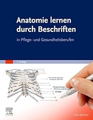 Anatomie lernen durch gebraucht kaufen  Wird an jeden Ort in Deutschland