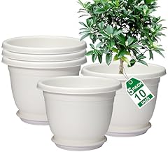 Shineloha packs inch for sale  Delivered anywhere in USA 