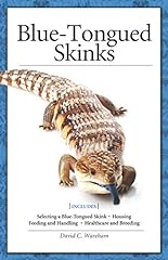 Blue tongued skinks for sale  Delivered anywhere in USA 