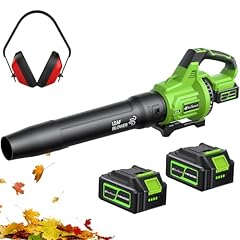 Cordless leaf blower for sale  Delivered anywhere in USA 