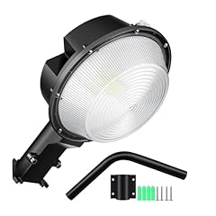 Rigidon 100w lampione usato  Spedito ovunque in Italia 