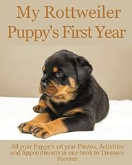 Rottweiler puppy first for sale  Delivered anywhere in UK