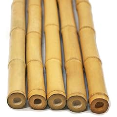 Backyard scapes natural for sale  Delivered anywhere in USA 