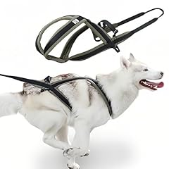 Professional sled dog for sale  Delivered anywhere in USA 