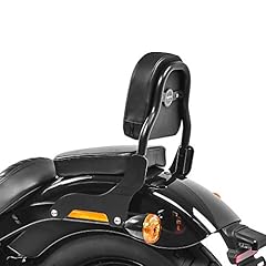 Sissy bar css gebraucht kaufen  Wird an jeden Ort in Deutschland