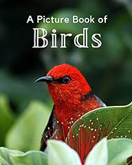 Picture book birds for sale  Delivered anywhere in USA 