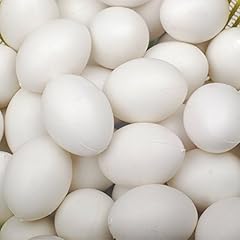 Wode 10pcs uova usato  Spedito ovunque in Italia 