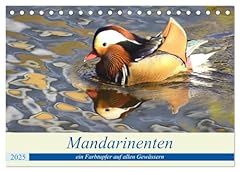 Mandarinenten farbtupfer allen gebraucht kaufen  Wird an jeden Ort in Deutschland