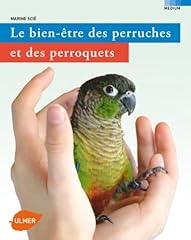 Perruches perroquets d'occasion  Livré partout en Belgiqu