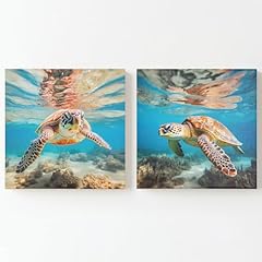 Zessonic sea turtle for sale  Delivered anywhere in USA 