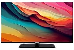 Telefunken zoll fernseher gebraucht kaufen  Wird an jeden Ort in Deutschland