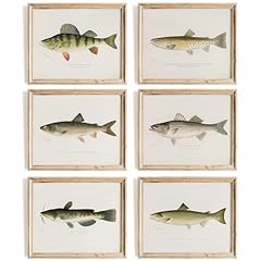 Fish wall art for sale  Delivered anywhere in USA 