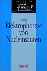 Elektrophorese nucleinsäuren gebraucht kaufen  Wird an jeden Ort in Deutschland
