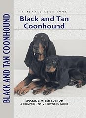 Black tan coonhound for sale  Delivered anywhere in UK