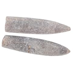 Hawillosch real belemnite for sale  Delivered anywhere in UK