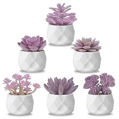 Zinho fake succulent for sale  Delivered anywhere in USA 