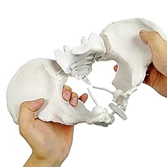 Evotech flexible female for sale  Delivered anywhere in UK
