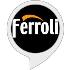 Ferroli split for sale  Delivered anywhere in UK