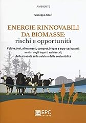 Energie rinnovabili biomasse usato  Spedito ovunque in Italia 