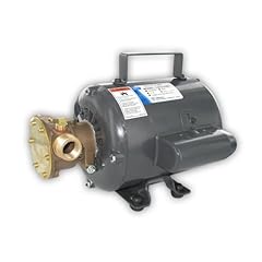 Jabsco bronze motor for sale  Delivered anywhere in UK
