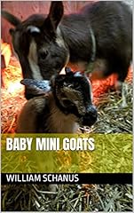 Baby mini goats for sale  Delivered anywhere in USA 