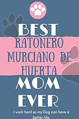 Best ratonero murciano for sale  Delivered anywhere in UK