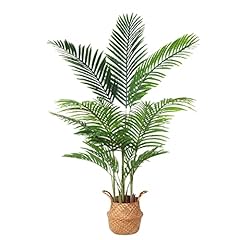 Ferrgoal artificial areca for sale  Delivered anywhere in USA 