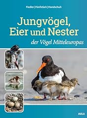 Jungvögel eier nester gebraucht kaufen  Wird an jeden Ort in Deutschland