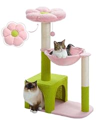 Muttros flower cat for sale  Delivered anywhere in USA 