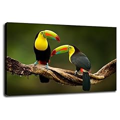 Toucan bird animal for sale  Delivered anywhere in USA 