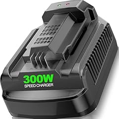 Rapid charger replace for sale  Delivered anywhere in USA 