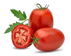 Tomato plants plum for sale  Delivered anywhere in UK