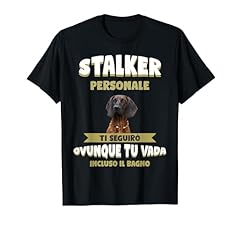 Segugio hannover cane usato  Spedito ovunque in Italia 