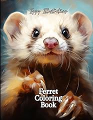Ferret coloring book for sale  Delivered anywhere in UK