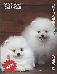 Pomeranian puppies dog for sale  Delivered anywhere in UK