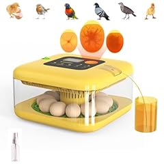 Lreerge incubator hatching for sale  Delivered anywhere in USA 