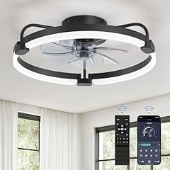 Lediary ceiling fans for sale  Delivered anywhere in USA 