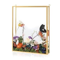 Himitimi shadow box for sale  Delivered anywhere in USA 
