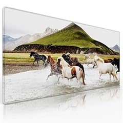 Wknoon. extra large for sale  Delivered anywhere in USA 