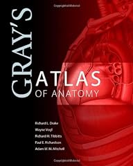 Gray atlas anatomy usato  Spedito ovunque in Italia 