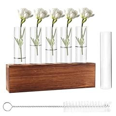 Riisoyu reagenzgläser blumenv gebraucht kaufen  Wird an jeden Ort in Deutschland