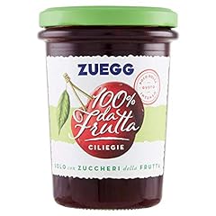 Zuegg 100 frutta usato  Spedito ovunque in Italia 