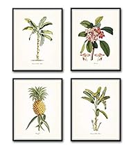 Tropical botanical prints for sale  Delivered anywhere in USA 