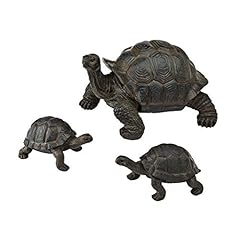 6.5 tortoise babies for sale  Delivered anywhere in USA 